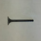 Kawasaki Valve, Exhaust Kawasaki Valve, Exhaust