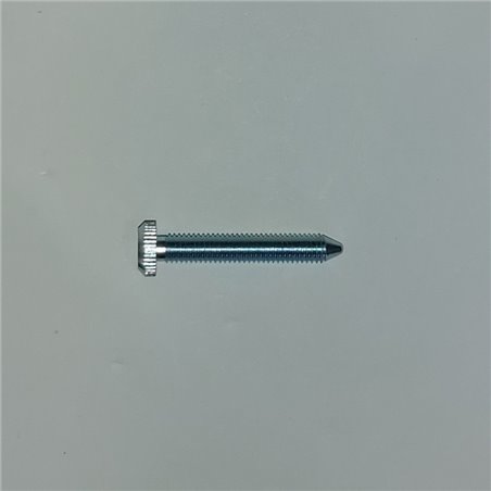 Kehein PWK Idle Adjuster Screw