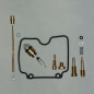 Carb Kit Yamaha XT250 2008/11