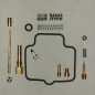 Carb Kit Suzuki LTF250 Ozark 2003/09 & 2012/14 Carb Kit Suzuki LTF250 Ozark 2003/09 & 2012/14
