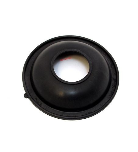 CV Slide & Diaphragm