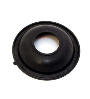 CV Slide & Diaphragm