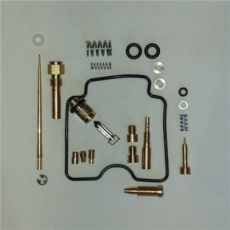 Carb Kit - Bombardier DS650