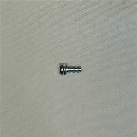 Carb Body Screw Cross head screw M4 x 10 With Spring Washer