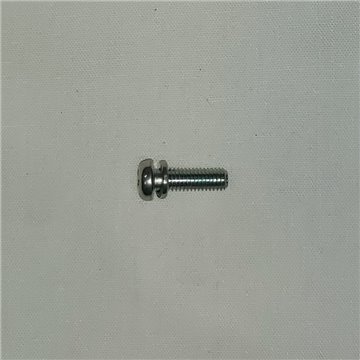 Carb Body Screw Cross head screw M4 x 12 & Spring Washer