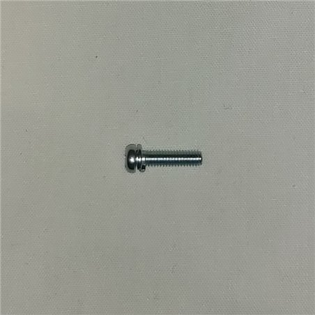Carb Body Screw Cross head screw M4 x 16 With Spring Washer