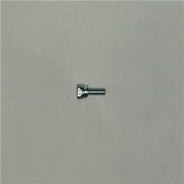 Carb Body Screw Cross head screw M6 x 14 With Spring Washer