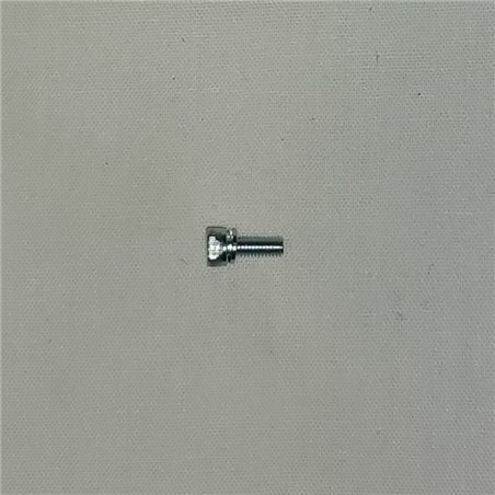 Carb Body Screw Cross head screw M6 x 14 With Spring Washer