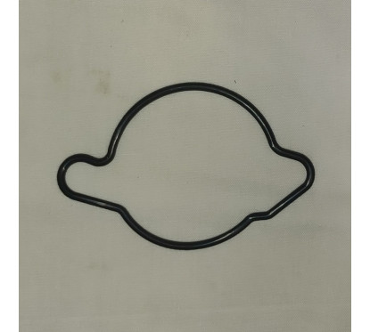 Inlet Gasket Honda VTR1000 