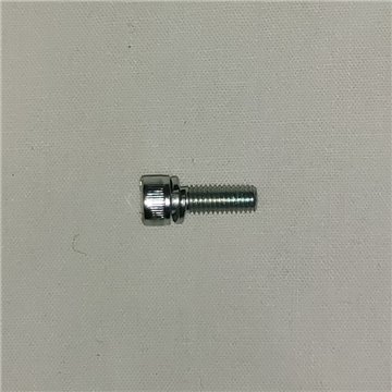 Carb Body Screw M4 Allen M4 x 10mm Stainless Steel
