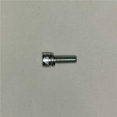 Carb Body Screw M4 Allen M4 x 10mm Stainless Steel