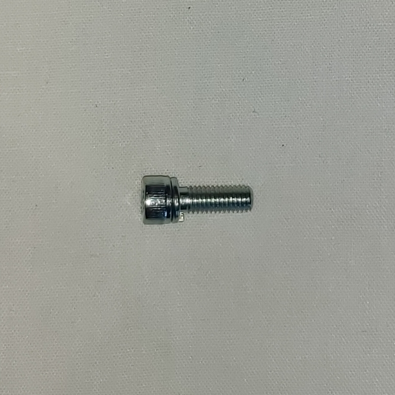 Carb Body Screw Allen Cap M5 x 12mm Stainless Steel 