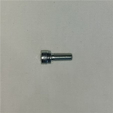 Carb Body Screw Allen Cap M5 x 12mm Stainless Steel 